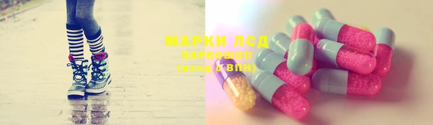 ГАЛЛЮЦИНОГЕННЫЕ ГРИБЫ Гусиноозёрск