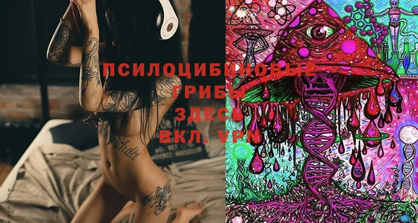 2c-b Гусь-Хрустальный