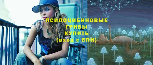 2c-b Гусь-Хрустальный