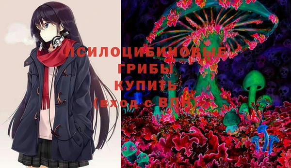прущий лед Гусев